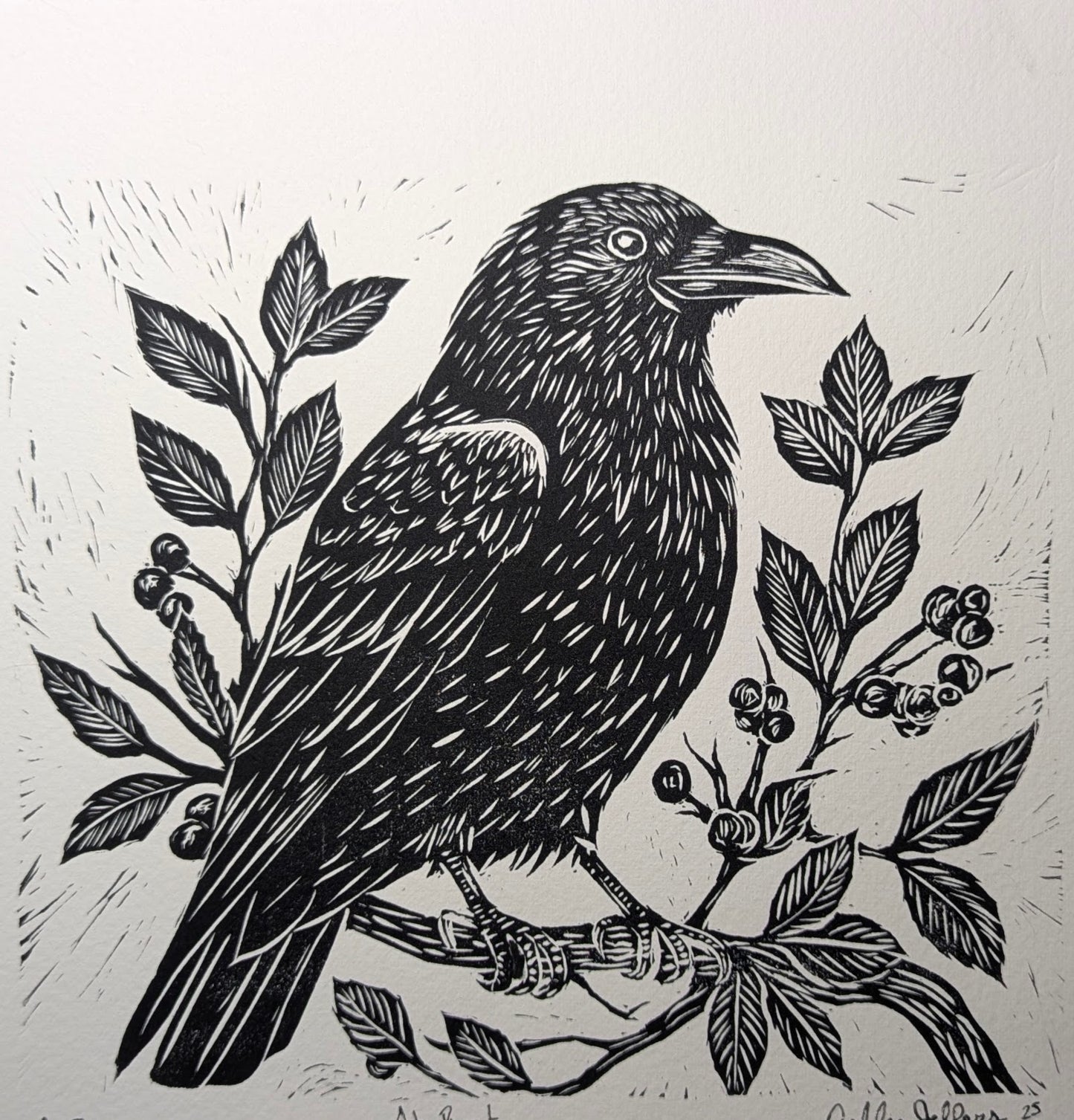 Raven at Rest