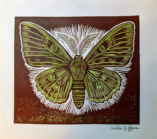 Moth
